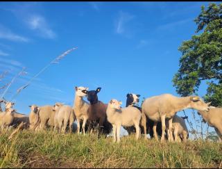 Gemütliche Wohnung mit Blick in die Wiesen - 6
