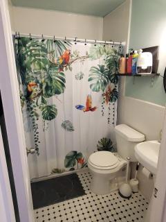 Welcome to North Hill Parrot House - 4