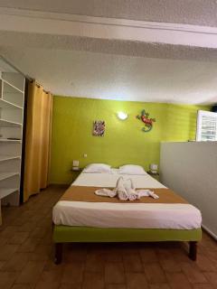 Les 2 cocotiers studios - 5