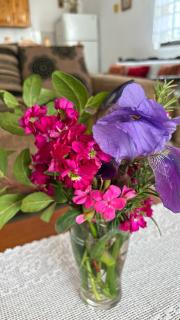 Grandmother's House - 5