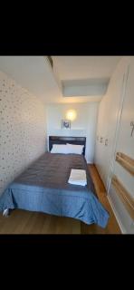 Lakeshore Loft with waterviews 10 mins to BMO field - 1