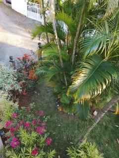 La plus grande source d'eaux chaudes "Guadeloupe" - 3