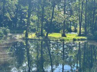 Krzywiec - Pasieka na Szlaku Kopernika - 2