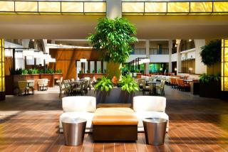 Embassy Suites by Hilton Cincinnati Northeast - Blue Ash - 5