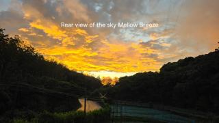 Mellow Breeze - 7