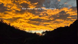Mellow Breeze - 6