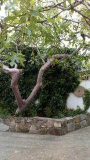 Apartments with WiFi Selca - Brac - 22969 - Selca - 4