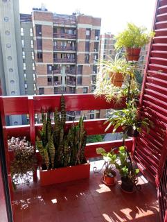 Barrio Juniors Torre roja - 1