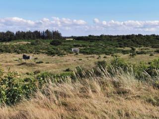 6 person holiday home in Skjern-By Traum - 7
