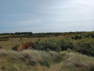 6 person holiday home in Skjern-By Traum - 5