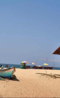 Dolfin beech resort - 8