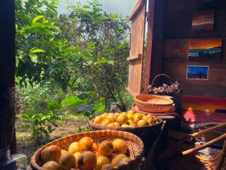 Mộc Lan’s House - 8