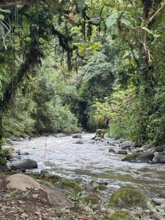YAPI LODGE La casa del agua - 0