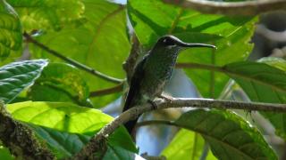 YAPI LODGE La casa del agua - 7