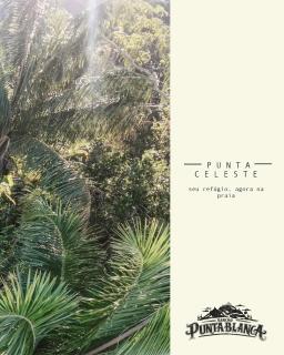 BeachHouse of the Punta Blanca project - 5