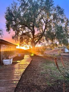 Zaromelranch deck - 9