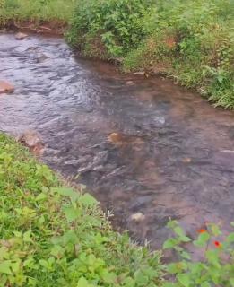 Mathew's Haven, Wayanad - By Arattukulam Hospitality - 9