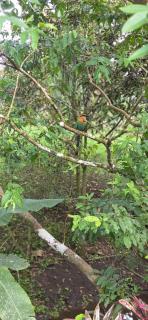 Kibutz Eco Guesthouse - 9