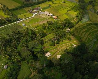 Nadi Nature Resort - Adults Only - 9