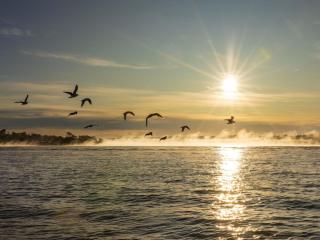 Stunning water view Home moments from town - Batemans Bay - 7