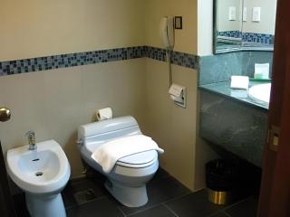 The CentrePoint Hotel - 4