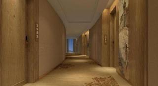 Vienna International Hotel Chengdu New International Conference and Exhibition Center Branch - 5