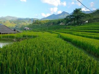 Sapa Fantasea Homestay - Sapa - 3