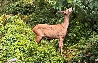 2 Bedroom Nice Home In Stenlille - 3