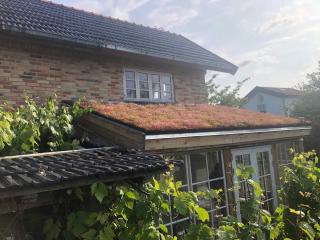 Eco-Village Between Sea And Fjord - 4