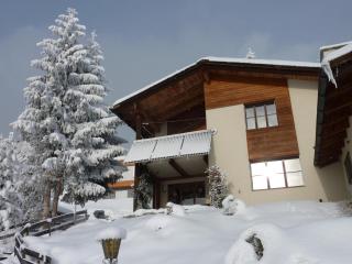 Arnika Montana - Brigels - 9