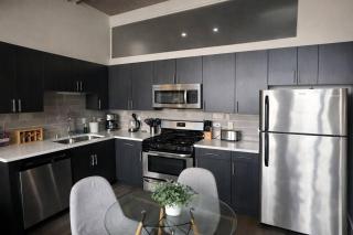 Spacious South Loop 2BR Apartment Near McCormick Place, Soldier Field & Downtown Chicago - 8