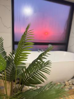 Panorama Sarpi 2 - Batumi - 8