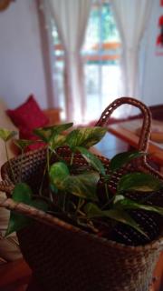 Cabañas Flor De Lis - 9