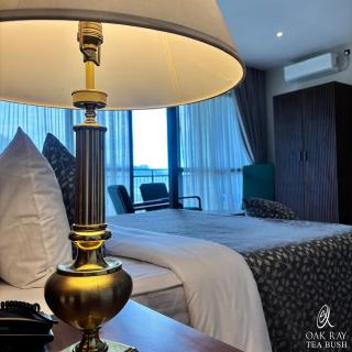 Oak Ray Tea Bush - 9