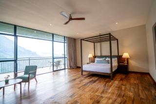 Oak Ray Tea Bush - 0