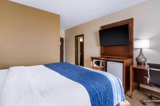 Comfort Inn & Suites - 1