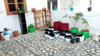 Gypsy Hostel - 1