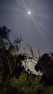 Alkira Ridge Sunrise at 1770 - 9