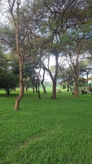 37Escape Kingsland City - 1