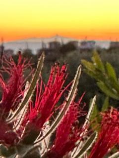 Nikiti Dream Villas - 6