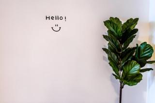 Magic House Hostel - 3