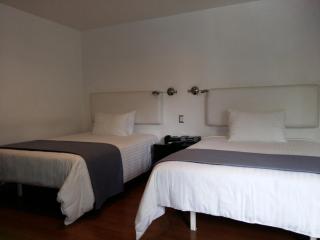 Hotel CLARUM 101 - Guadalajara - 9