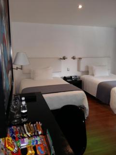 Hotel CLARUM 101 - Guadalajara - 8