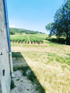 Gte du Moulin Brochat 4 toiles avec espace jacuzzi commun - 5