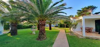 S'ERMITA - Las Golondrinas - 7