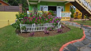 BalaCasa - The Escape - your tropical garden retreat - 9