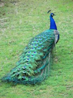 Calmira Boutique Stay - 6