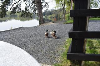 Alensgrove Cottages #4 - Two-Bedroom Cottage - 6