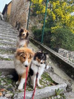 B&B ALLE SCALETTE - 9