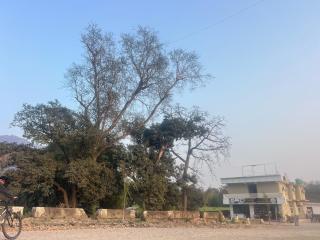 Hotel O The Glide Inn Hotel & Restaurant - 1